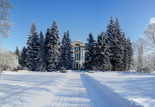 Ботанический сад в феврале 2018
